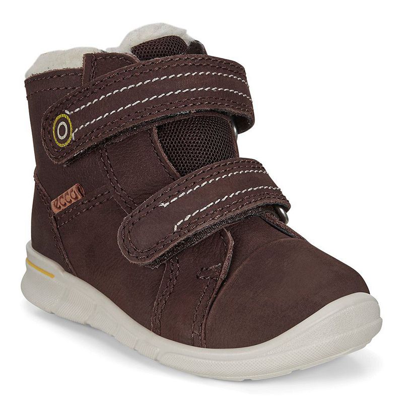 Kids Ecco First - Mid Calf Boots Brown - India IQKJBH492